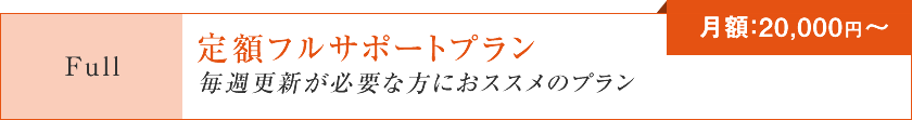 定額フルサポートプラン「毎週更新が必要な方におススメのプラン」【月額：20,000円～】