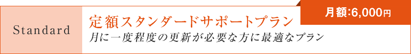 定額スタンダードサポートプラン「月に一度程度の更新が必要な方に最適なプラン」【月額：6,000円】